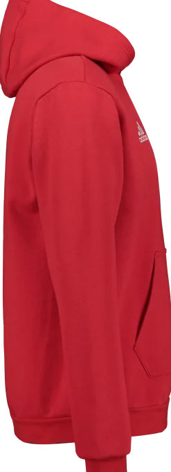 ADIDASent22 hoody jr