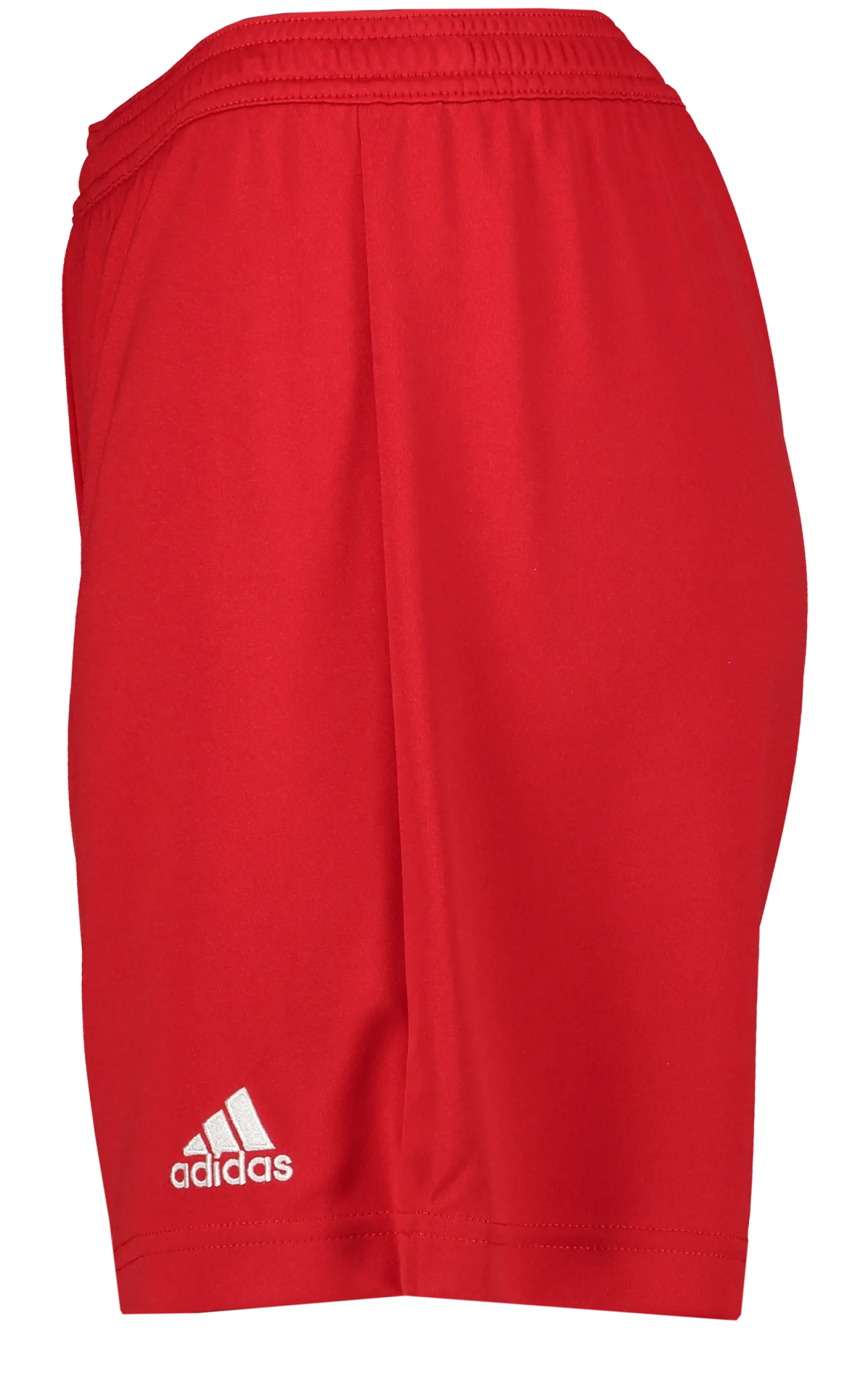 ADIDASent22 shorts lw