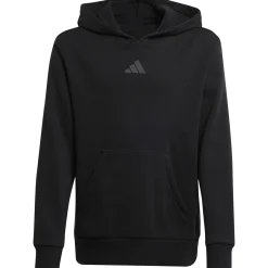 ADIDASj smi hoodie