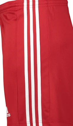 ADIDASsquad 21 short
