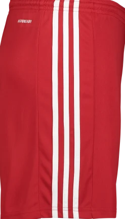 ADIDASsquad 21 short