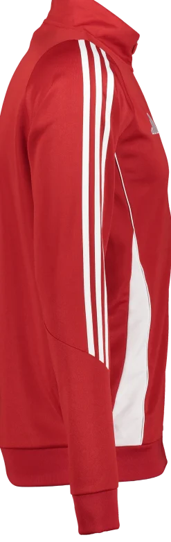 ADIDAStiro24 tr jkt