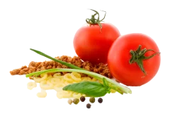 ADVENTURE FOODfrystorkad mat