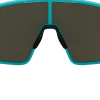 BLIZp001