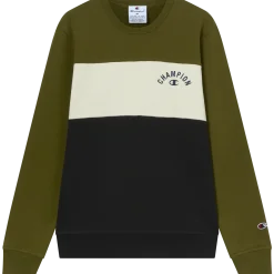 CHAMPIONsweatshirt icons crewneck m