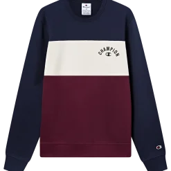 CHAMPIONsweatshirt icons crewneck m