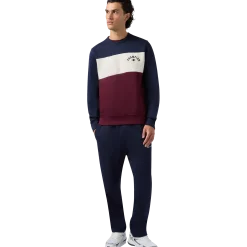 CHAMPIONsweatshirt icons crewneck m
