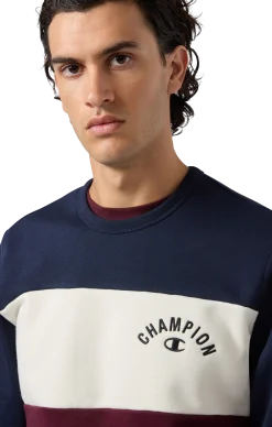 CHAMPIONsweatshirt icons crewneck m