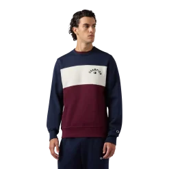 CHAMPIONsweatshirt icons crewneck m