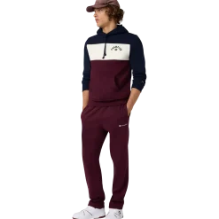 CHAMPIONsweatshirt icons hood m