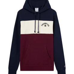 CHAMPIONsweatshirt icons hood m