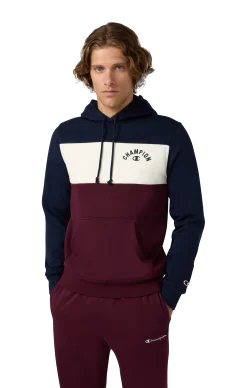 CHAMPIONsweatshirt icons hood m