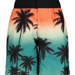 HANGTENboard shorts jr