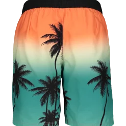 HANGTENboard shorts m