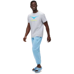 HOKAbird logo gpx ss tee m