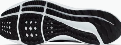 NIKEnike pegasus 39 men's road running