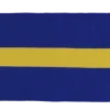 REVOLUTIONsupporter scarf