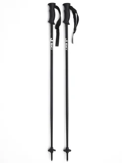 SKI INDUSTRIESalpine pole u