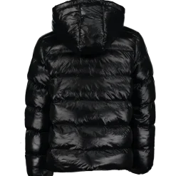 VINSONgaia reg mid ny vin jr otw